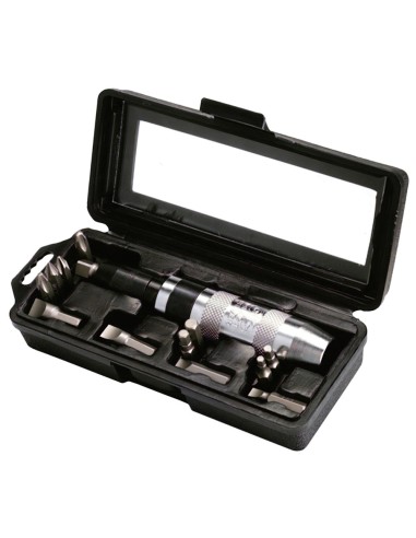 Destornillador Golpe (Caja con 12 Puntas y...