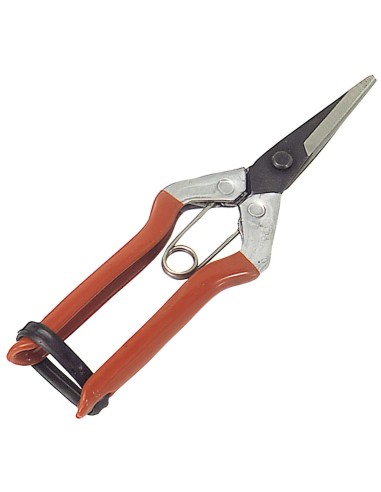 Tijeras Recolectar Uvas  1 Mano  P 1552   180 mm.