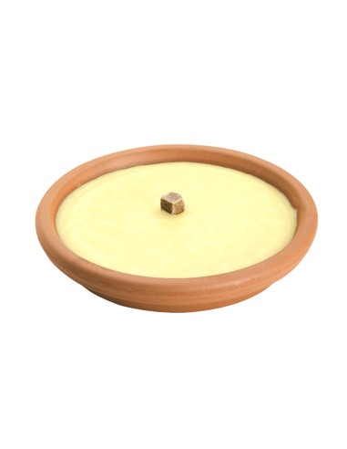 Vela Antimosquitos Citronela Recipiente...