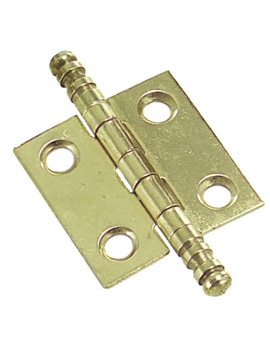 Bisagra Latonada 207 40x35 mm.