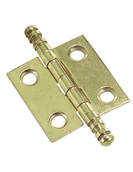Bisagra Latonada 207 70x50 mm.