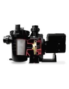 Bomba piscina HW HWM100 1.00cv mf HP-4450-04 2