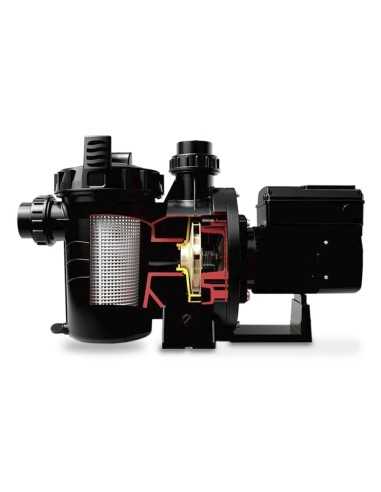 Bomba piscina HW HWM100 1.00cv mf HP-4450-04