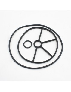 Juntas valvula selectora ASTRAL 1½" Eco/Flat 4404122104