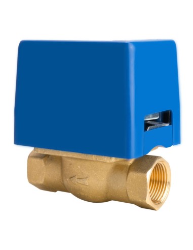 2-way zone valve MUT SF25-2 H 1" 220V s/micro 700101639