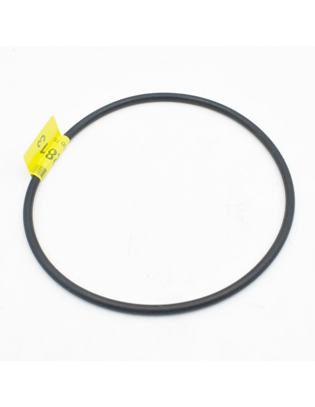 Junta tapa prefiltro bomba piscina ACIS MPB/MJB  A-OR-167-4-6-3