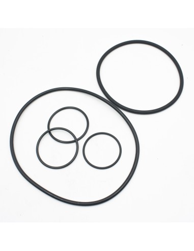 Juntas bomba piscina ASTRAL Verdon 3cv...