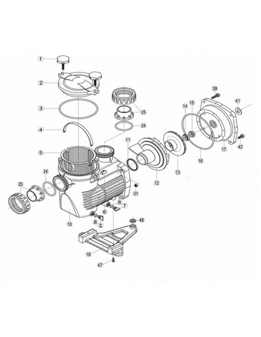 Porta-cierre bomba piscina HAYWARD brida union...