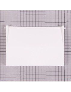 Compuerta skimmer piscina ASTRAL con bisagra 4402010101A...