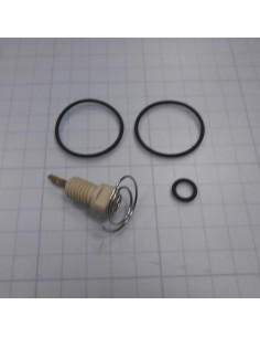 Electrodo PT panel ASTRALPOOL sonda platino Controller...