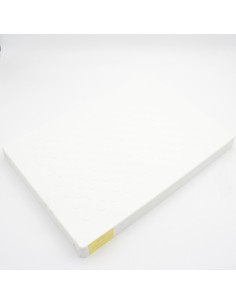 Peldaño escalera piscina FLEXINOX mod publica Land 09703370