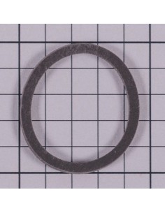 Junta foco piscina ASTRAL para Laghetto 4411040115