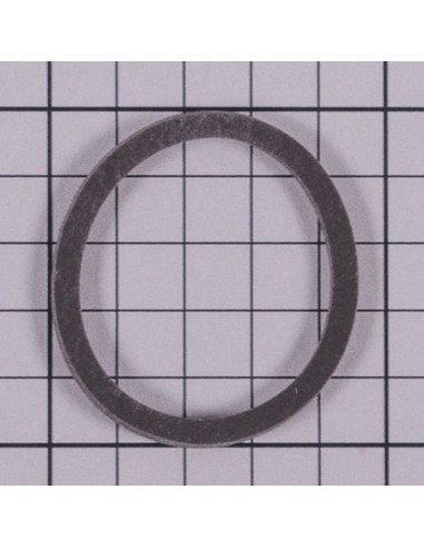 Junta foco piscina ASTRAL para Laghetto 4411040115