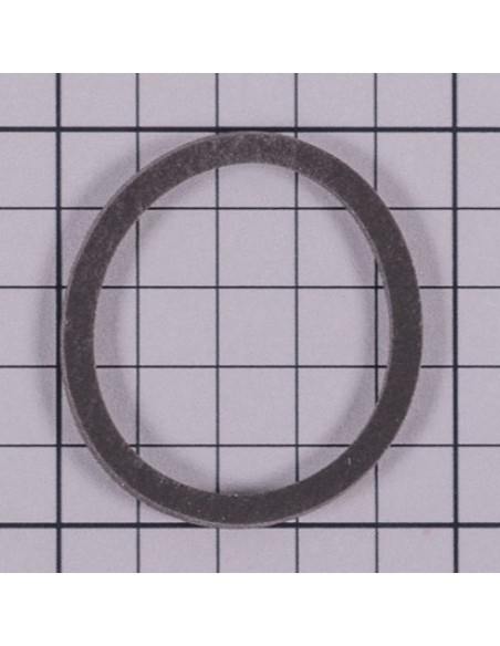 Junta foco piscina ASTRAL para Laghetto 4411040115