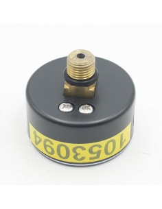 Manometro filtro piscina HW inox Veleta 500/600... 2