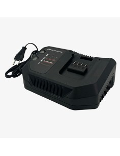 Cargador bateria DATACOL 20V 4A DTD1100ES