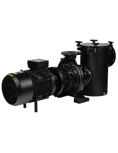 Bomba piscina ASTRAL Aral Plus C-1500 15cv tf...