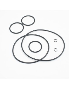 Juntas bomba piscina HAYWARD E-Flo K-Flo 500131160300