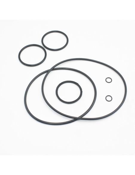 Juntas bomba piscina HAYWARD E-Flo K-Flo 500131160300