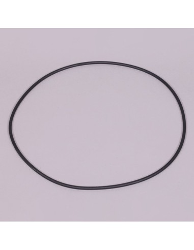 Junta limpiafondos integrado ASTRAL Net¨N¨Clean...