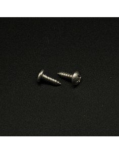 Tornillo proyector CORAL soporte a nicho 34003516 (QP) (x2) 2