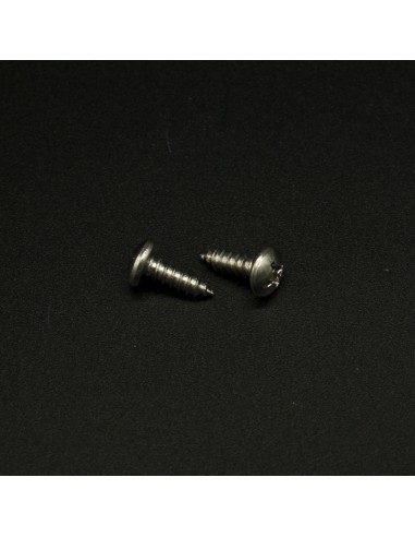 Tornillo proyector CORAL soporte a nicho...