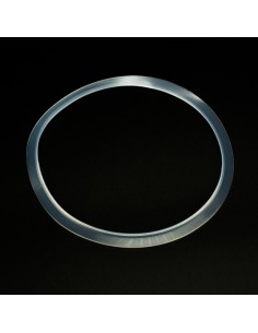 Junta proyector ASTRAL extraplano 4403010102 silicona