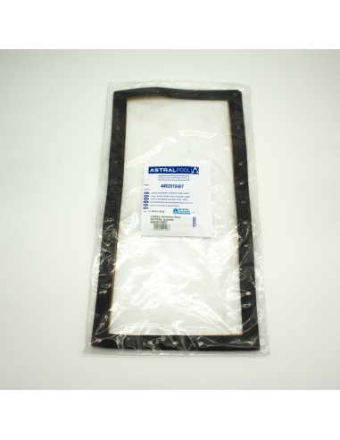 Junta skimmer liner ASTRAL grande 4402010407 (x2)