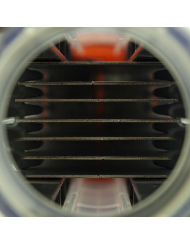 Clorador salino BSPOOL BsOne Basic 25gr/h