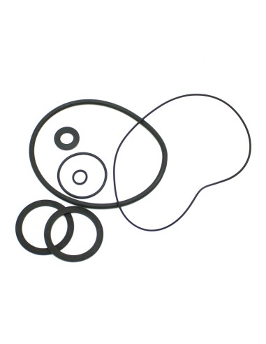 Juntas bomba piscina ASTRAL Sprint/Victoria...