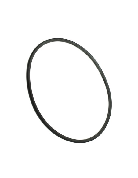 Junta tapa prefiltro ESPA Silen2/Tifon 204888