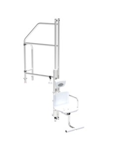 Elevador acceso piscina ASTRAL s/escalera   650mm 71657 2