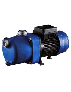 Bomba piscina POLARIS presion limpiafondos 1.00cv mf...