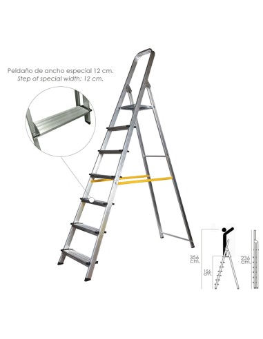 Escalera aluminio profesional plataforma+5 peldaños