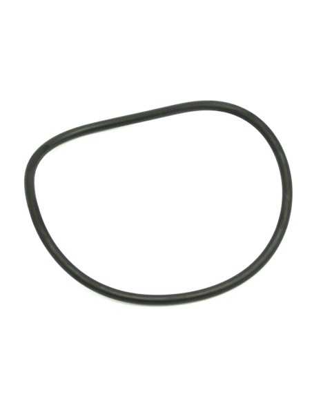 Junta tapa prefiltro bomba piscina ASTRAL Sprint/Victoria/Verdon/Alaska Max/Alaska Plus 4405010178