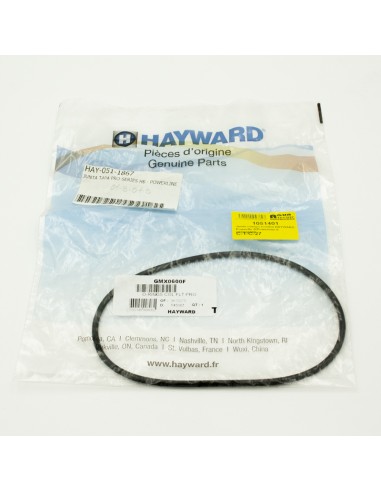 Junta cuerpo bomba piscina HAYWARD Powerflo...