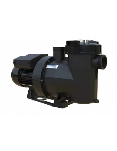 Bomba piscina ASTRAL Victoria Plus Silent 300M...