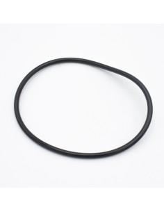 Junta tapa dosificador piscina ASTRAL Dossi-3 4408010702