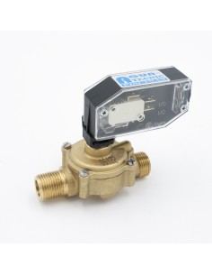 Flujostato caldera FUGAS M-M 1/2" s/t manometro c/regulador 2