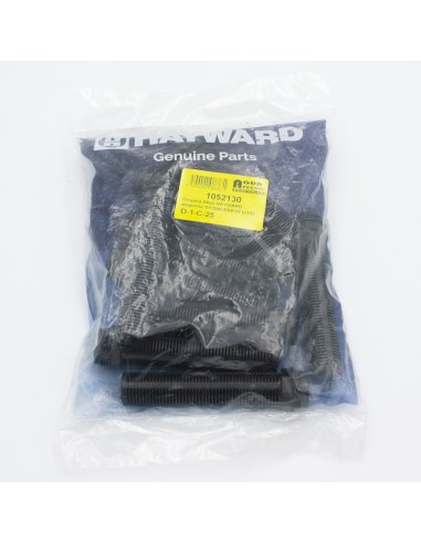 Crepina filtro HAYWARD pequeña SX200QPAK10 (x10)