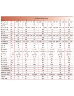 Aerotermia TRADESA Tradetermica Monobloc 16 2