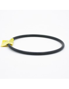 Junta tapa prefiltro piscina PRINZE Ocean/Pacific RSWIM080