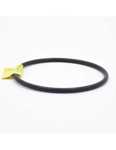 Junta tapa prefiltro piscina PRINZE...