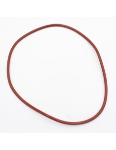 Junta tapa filtro piscina ANIP Titan/Qatar/Roma P306233