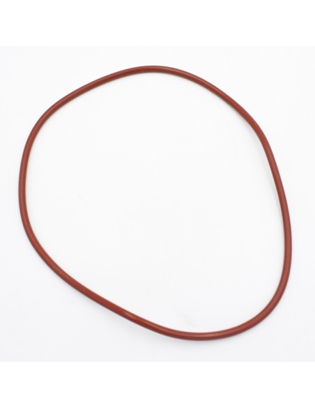 Junta tapa filtro piscina ANIP Titan/Qatar/Roma P306233