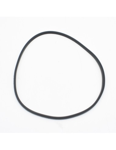 Junta cuerpo bomba piscina ASTRAL Aquasphere...