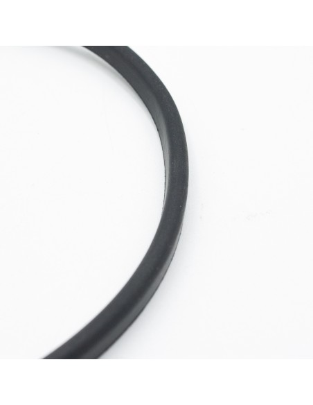 Junta cuerpo bomba piscina ASTRAL Aquasphere SSP 4405011249