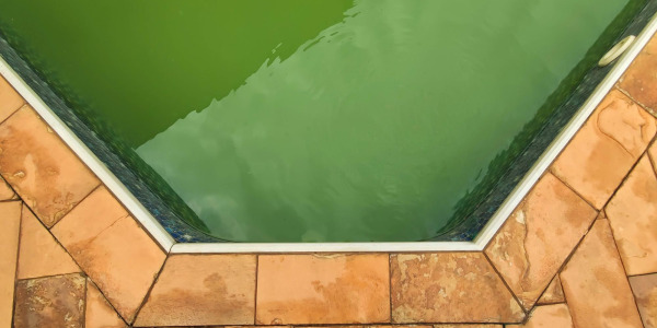 Puesta en marcha de una piscina sin uso durante años